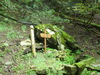 P1000414_9_2
