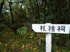 09p1000068