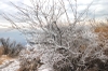 09crw_4151_2
