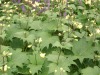 05cimg1167