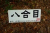 06p1020396