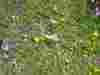15p1040131