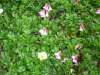 3720100728_turugi_23