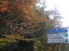 Photo_10