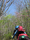 04img_9003