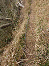 118p1000453