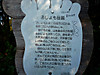113p1090940