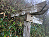 Photo_9