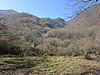 Photo_6