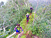 04dscn5805