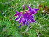 2014626dsc09853