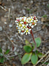 2014629dsc01605