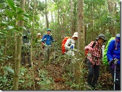 24やっとまともな登山道、3合目付近