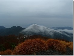 12雪を被ったような山、桜島が見えずに残念