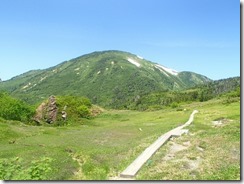 14P8043410