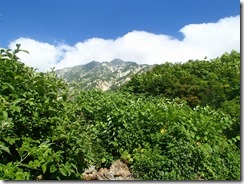 02P8033306