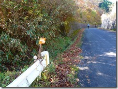 16兵戸林道のハナグロ登山口、カシノキヅルは左前方