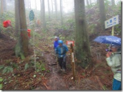 14 羽金山からズルズルの下りで、長野峠に下りてきました