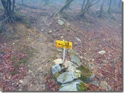 10やくし山登山口(林道）へ下山しました