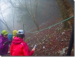 08福寿草、開花は見れましたが天気が悪く元気がなかったみたいです