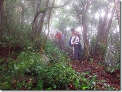 2-04 登山道