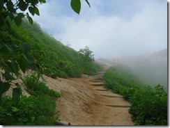 2-11IMG_4041