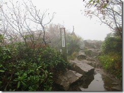 18風雨が強いのでマナイタグラ手前の分岐からすぐに下山