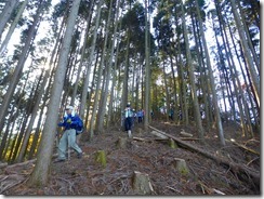 14下山路は別のルートで降りましたが、入口がわかりずらいので注意です。