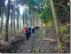 06広い登山道です