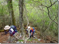 09往路を下山しました