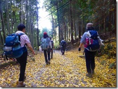 23登山口近くまで下りてきました