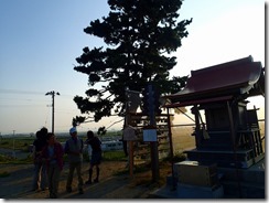 ２９　津波に会った日和山の松を見学し、震災の凄さを改めて実感した。