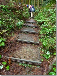 04整備された登山道