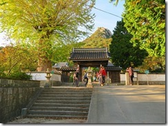 47天徳寺IMG_2575