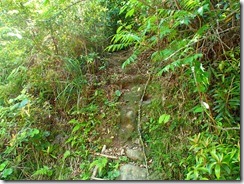 03岩稜登山口です