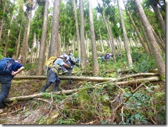 1-07植林地を登ります