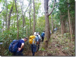 1-16笹が被さった登山道を登っていきます