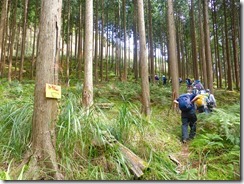 1-11再び植栽地を登ります