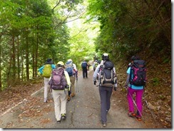 1-02林道を4km歩いて登山口へ向かう