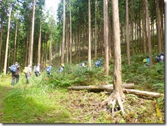 1-10林道脇に保口岳道標、山道に入ります