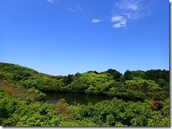 08P5220089_R