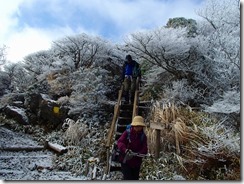 1-02沓掛山の下山