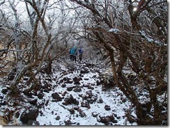 2-12大戸越への縦走路、雪で逆に歩きやすいのかな？