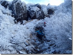 1-21夏道では大変な白口岳～鉾立峠の下山道