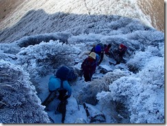 2-04大船山への急登、樹氷がきれいです