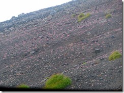 4-00P1130678