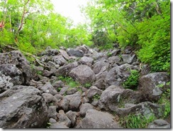 2-06岩だらけの登山道、ステップがきついです