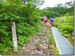 4-03石畳の登山道に変わります。中央コース登山道