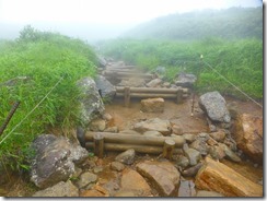 4-12荒れた登山道を下ります