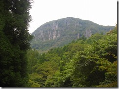 ⑦林道から万年山